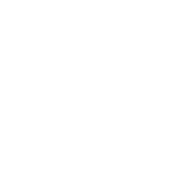 Assessment